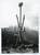 Fotografia d epoca originale 1978 NUS AO Monumento ai vignerons valdostani  Foto 13x17 cm 1