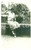 Fotografia d epoca originale Luglio 1930 SALICE TERME Donna gioca con un gatto Foto cartolina vintage 1