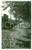 Fotografia d epoca originale Maggio 1931 NOVI LIGURE Sentiero campestre Foto cartolina VINTAGE 1