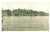 Fotografia d epoca originale 1931 LAGO DI LOMELLINA Veduta di una sponda alberata Foto cartolina VINTAGE 1