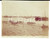Fotografia d epoca originale Gennaio 1912 TRIPOLI Lo sbarco degli ASCARI  Foto ANIMATA RARA 11x8 cm 1