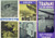 Materiale pubblicitario d’epoca 1956 TRAPANI e la sua provincia  Pieghevole TURISMO ILLUSTRATO VINTAGE 1