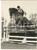 1955 BADMINTON Beaufort Hunt Show - Jump of CORNFIELD ridden by Pat SMYTHE 