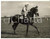 1955 ARUNDEL Colt SQUARE DANCE partnered by Frankie DURR during the training