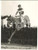1956 HAYDOCK PARK - E.S.B. ridden by Tim MOLONY taking a jump during a race