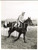 1959 IRELAND - RICHARDSTOWN trained by J. NEVILLE *Photo 15x20 cm