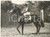 1957 HORSE RACING Harry CARR on DOUTELLE during a training *Photo 20x15 cm