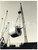 1965 ca PORTO DI GENOVA Operazioni di rifornimento *Foto VINTAGE 18x24