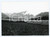 1977 COMANO TERME Frazione PONTE ARCHE Campo Lomaso - Foto 18x13 cm (1) Fotografia d'epoca con didascalia manoscritta al verso.  FAIR/discreto Lievi smussature agli angoli Formato: 18x13 cm originale e autentica 1