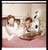 Fotografia d epoca originale 6X6cm NEGATIVO ORIGINALE  1975ca RITA PAVONE e TEDDY RENO Danni, leggasi bene 1