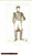 Stampa, bozzetto originale 1852 REGNE DE NAPOLEON Costumes français  Jérome BONAPARTE Gravure Inc. CAMUS 1