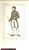 Stampa, bozzetto originale 1852 REGNE DE NAPOLEON Costume franÃ§ais  Aide des CÃ©rÃ©monies Inc. CAMUS 1
