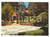 Cartolina originale da collezione 1975 GARESSIO CN Parco delle Fonti SAN BERNARDO Cartolina VINTAGE FG VG 1