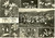 Cartolina originale da collezione 1963 VILLA DI VILLA BL Vedutine con flora e panorama  Cartolina FG VG 1