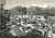 Cartolina originale da collezione 1964 BELLUNO Panorama e ponte della VITTORIA sul PIAVE Cartolina postale FG VG 1