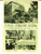 Cartolina originale da collezione 1950 ca RIMINI Pensione ROSINA Cucina Romagnola Cartolina TURISMO FG NV 1