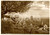 Cartolina originale da collezione 1950 ca ASSISI PG Panorama da ROCCA con SANTA CHIARA e SAN RUFINO Cartolina 1