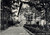 Cartolina originale da collezione 1953 REGGELLO FI Albergo VITTORIA a VALLOMBROSASALTINO Cartolina FG VG 1