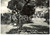 Cartolina originale da collezione 1950 ca BORDIGHERA IM Via Avvocato Francesco ROSSI Cartolina FG VG 1