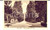 Cartolina originale da collezione 1944 SALICE TERME PV Viale principale del Parco Cartolina postale FP VG 1
