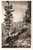 Cartolina originale da collezione 1951 AVELENGO BZ Scorcio con Chiesa SANTA CATERINA Cartolina FP VG 1