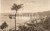 Cartolina originale da collezione 1910 VARAZZE SV Veduta panoramica generale Cartolina FP VG 1