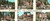Cartolina originale da collezione 1965 TAVERNA CZ Villaggio MANCUSO Vedutine animate Cartolina PANORAMICA 1