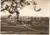 Cartolina originale da collezione 1955 CASSINE AL Panorama del paese Cartolina FG VG 1