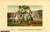 Cartolina originale da collezione 1930 Ribatejo  Campinos Costumes Portuguezes 1