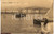 Cartolina originale da collezione 1915 LA SPEZIA Panorama dal mare ANIMATA FP VG 1