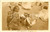 Cartolina originale da collezione 1936 ABISSINIA A.O.I. Donne al mercato con le galline Cartolina FP NV 1
