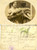 Cartolina originale da collezione 1914 FIDENZA PR Cantante operetta Carmela REVELLI allo specchio  AUTOGRAFO 1