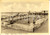 Cartolina originale da collezione 1939 VIAREGGIO LU Bagno PRINCIPE DI PIEMONTE Cartolina ANIMATA FG VG 1