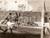 Fotografia d epoca originale 1954 BOLOGNA Calcio SAMPDORIABOLOGNA Traversone GIORCELLI 1