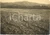 Fotografia d epoca originale 1928 PIANA DI SIBARI CS Bonifica sul torrente SATANASSO Foto 1