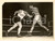 Fotografia d'epoca originale 1939 USA BOXE Pugile colpisce l'avversario con un gancio *Foto 17x24 cm 1