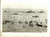 Fotografia d epoca originale 1930 ca GENOVA Regata di scialuppe per Trofeo FINMARE Fotografia 1