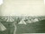 Fotografia d epoca originale 1935 ca MILANO LAMBRATE Campeggio Opera Nazionale BALILLA Foto DANNEGGIATA 1