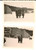 Fotografia d epoca originale 1960 ca WILDHAUS CH Famiglia in vacanza sulla neve Lotto 2 foto VINTAGE 10x7 1