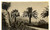Fotografia d epoca originale 1930 ca SANREMO Veduta dai giardini REGINA ELENA Foto 14x9 cm VINTAGE 1