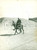 Fotografia d epoca originale 1950 ca IL CAIRO EGITTO Beduino a dorso di mulo nel deserto Fotografia 1