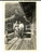 Fotografia d epoca originale 1951 SANTA CATERINA VALFURVA Coppia sul balcone di uan baita Foto VINTAGE 6x9 1