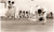Fotografia d epoca originale 1986 INDIA Young people practicing JUDO for health WHO photo GENERAL SPORTS 1