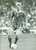 Fotografia d epoca originale 1980 ca CALCIO Nazionale POLONIA Waldemar MATYSIK Centrocampista Fotografia 1