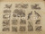 Stampa, bozzetto originale 1900 ca LEXICON VALLARDI Enciclopedia Universale  Gallinacei Tavola ILLUSTRATA 1