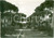 Cartolina originale da collezione 1952 FIUMICINO RM Viale delle Rose a FREGENE Cartolina FG VG 1