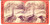 Fotografia d epoca originale 1890 NIAGARA FALLS NY Ponte tra due isolotti Stereoscopica BIERSTADT ANIMATA 1