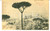 Cartolina originale da collezione 1901 MONREALE PA Panorama generale Cartolina postale FP VG 1