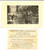 Fotografia d epoca originale 1915 ca LONDON Wells Street  MUGLESTON S Hotel  The restaurant  Photo 13x9 1