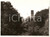 Fotografia d epoca originale 1970 PADOVA Cupola della Basilica di Santa Giustina emerge da vegetazione Foto 1